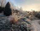 blumen dirr insektengarten finnentrop heggen1