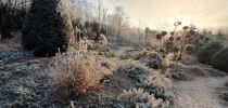 blumen dirr insektengarten finnentrop heggen1