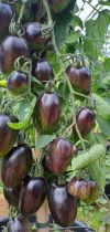 sonstige bilder1 sonstige bilder1