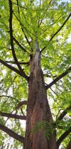 sonstige bilder16 sonstige bilder16