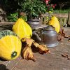sonstige bilder17 sonstige bilder17