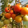 sonstige bilder18 sonstige bilder18