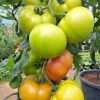 sonstige bilder3 sonstige bilder3