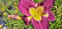 sonstige bilder4 sonstige bilder4