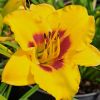sonstige bilder5 sonstige bilder5