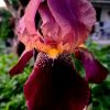 sonstige bilder6 sonstige bilder6