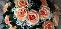 blumen dirr trauer blumen dirr trauer